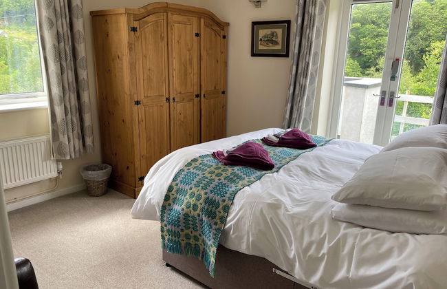 Plas Penaeldroch Manor - Foto 7