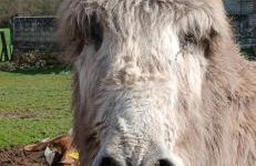 la chambrée - Foto 8