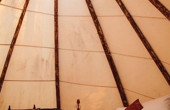 Taos Goji Farm & Eco-Lodge Retreat - Foto 57