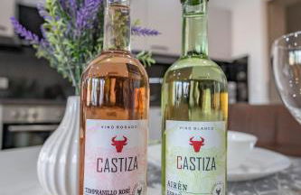 HANNIBAL - Design Studio-Apartment Jasmin 8, Parkplatz, Küche, HighSpeed-WLAN - Foto 33