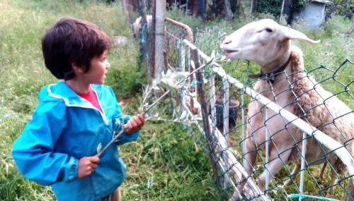 Lugar nas Estrelas Starlight - Foto 2, Garden