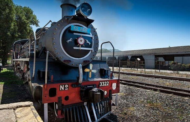 Locomotiva a vapor ao Mercado Ferroviário de Elgin - Foto 4