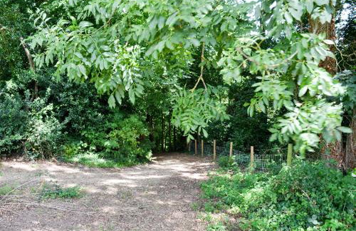 Little Barn - Ukc2539 - Foto 9