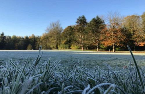 Cozy studio house with terrace 15 min from Paris - Photo 23