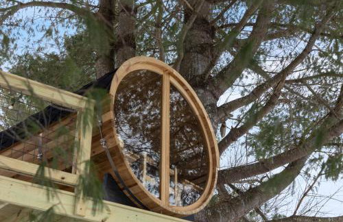 Designer A-Frame Treehouse with hot tub on river - Foto 44