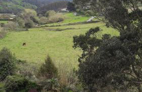 Bakio Ocean View - Foto 3