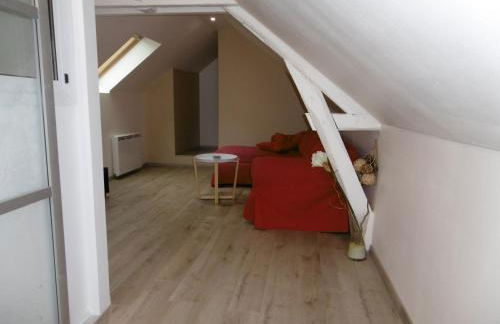 Le petit domaine des Aubuis - Foto 8