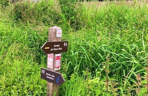 Au coin du loup, monts de Flandres, Zwarteberg - Foto 30