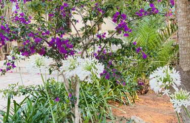 Villa Rosemary - Photo 31