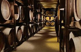 Orion Guest Villa Casais - Foto 63