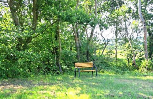 Snug & Secluded Lakeside Shepherds Hut 'Carp' - Foto 49