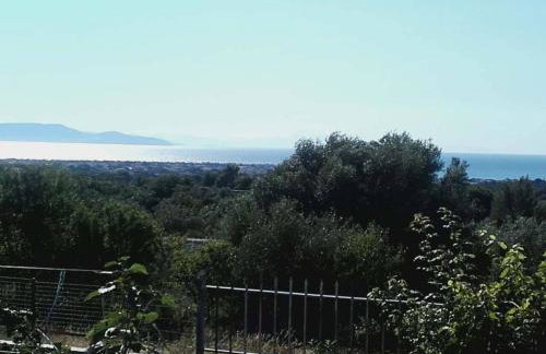 Room near the Airport - Foto 39