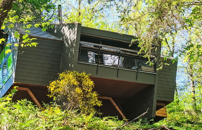 Bosco della Bella 6 - Foto 1