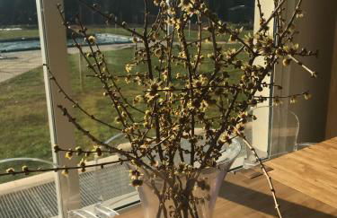 Agriturismo Villa Gaia - Foto 31