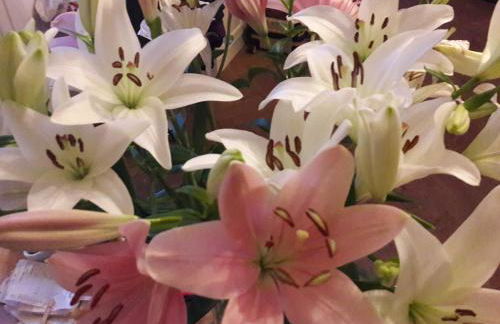 Appartement T1 Hyper Centre avec Balcon - Foto 19