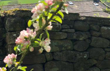 Coverdale cottage - Photo 52