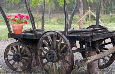 Monte do Lago, Pegões - Foto 32