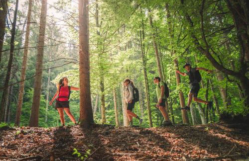 Azzurro Mountain Lodge - Foto 37