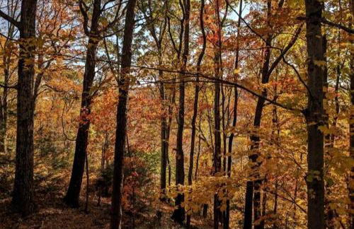 Rustic Retreat Fireplace, Casino, Camelback Close to everything! - Foto 4
