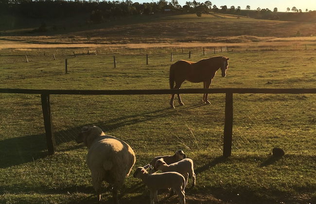 Clandulla Cottages - Foto 38