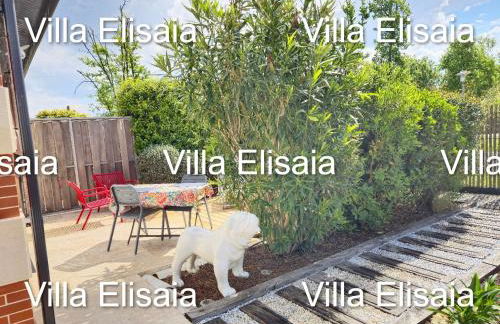 Gite Villa Elisaia location de meublés de tourisme chez l'habitant - Foto 30