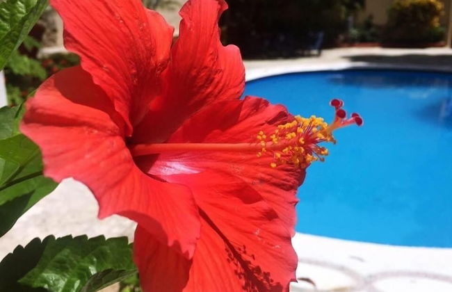 Villas Los Ángeles - Foto 8