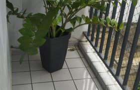 Apartamento para temporada em Campina Grande - Foto 6