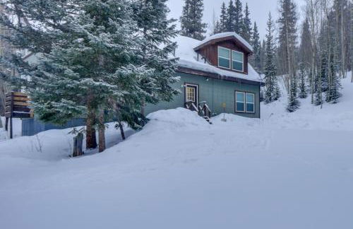 Mountain Cabin 15 Mi to Breckenridge Ski Resort! - Foto 20