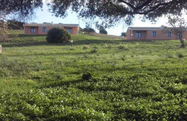 agriturismo gli olivastri, appartamento la rosa dei venti con piscina e solarium , vista mare ,climatizzatore ,wifi - Foto 16