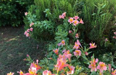 Appartamento da Vjeri - Foto 24