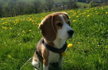 Sonnen Panorama - Abenteurer und Weltentdecker - Foto 4