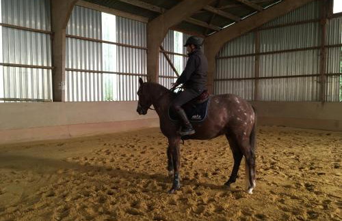 logement jusqu'à 8 lits dans un centre équestre grand parking - Foto 43