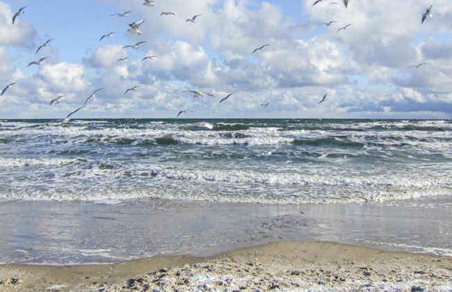 Idyllische Wohnung an der Ostseekueste - Foto 19