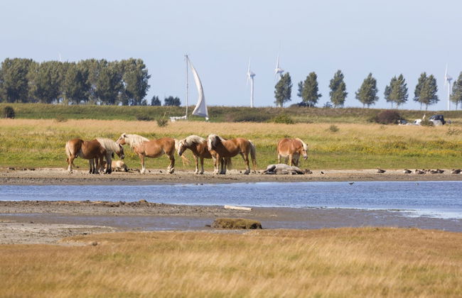 Modern Apartment 2 Bath Rooms, Close to Lake Veere - Foto 24