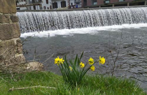 Apartamento Elizondo Giltxaurdi - Foto 37