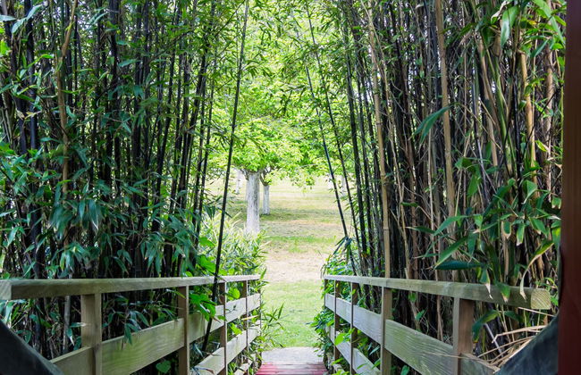 La Part des Anges - Foto 13