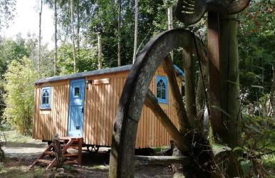 Sapphire forest garden shepherd’s hut - Foto 19