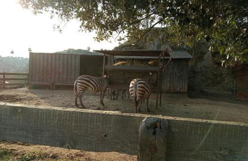 Vivienda Rural La Mazuga - Foto 80