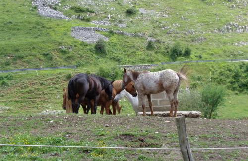 Agriturismo Le Prata - Foto 25