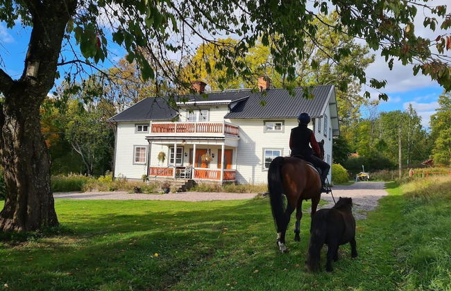 Charming 6 Bedroom House & Horse Farm - Sleeps 12 - Foto 46