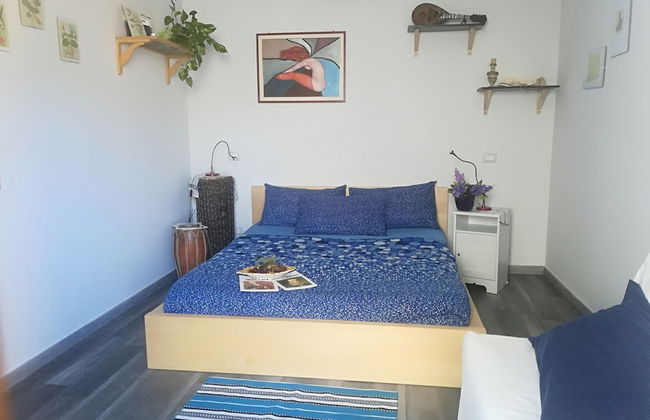 Viola nel Parco - Foto 4