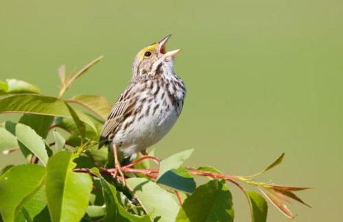 La Casa del Pan de Archivel - Foto 51