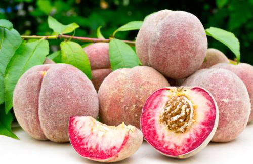 Komfort Ferienwohnung FEWO74-2 - Foto 67