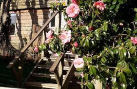 Helnoweth Lodge - Photo 39