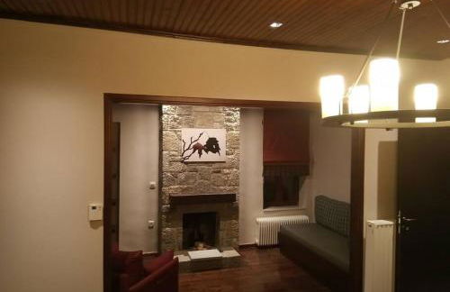 Τείχιο Πατρικό - Tihio Patriko - Πέτρινη κατοικία - Foto 37