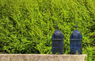 Domaine des Chanoines blancs - Foto 39