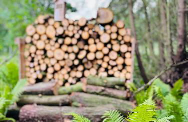 Dat Blockhus am Diek - Foto 17