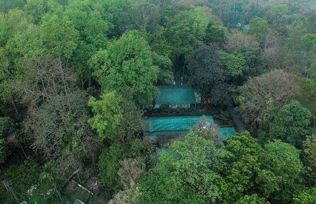 Wild Mahseer - Foto 1