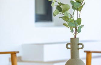 Casa Florentin Luxurious Villa in great location - Foto 15