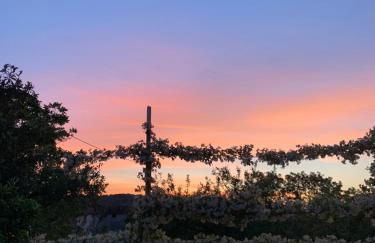 Ginger House - Foto 4